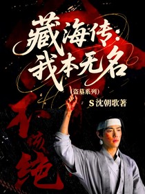 藏海传：我本无名（盗墓系列）
