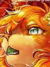 猫武士2——1午夜追踪