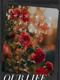 国民奇探之暗涌之下